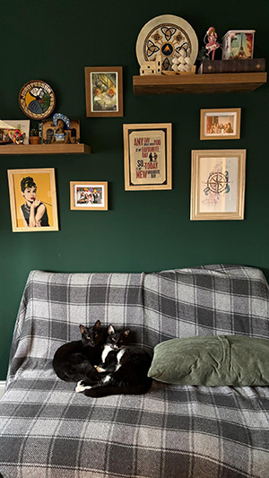 A photo of Sayonara's two cats, Data and Troi, relaxing in her office.